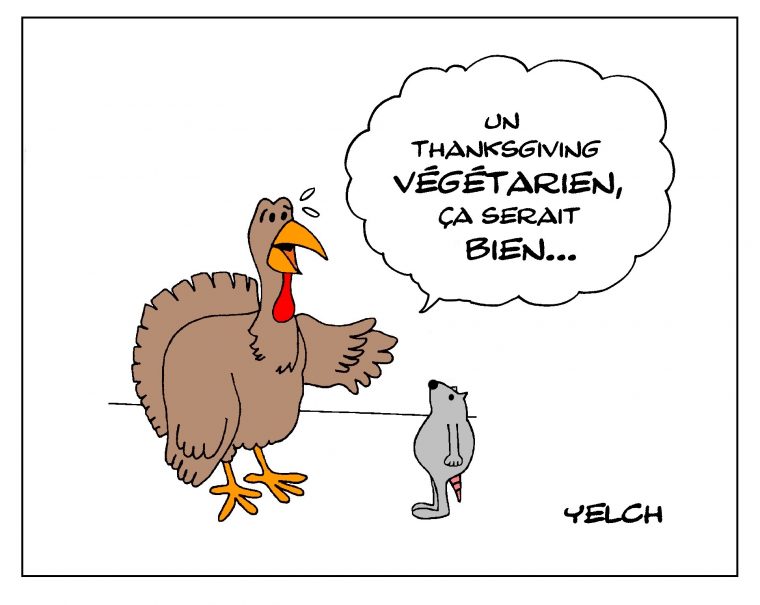 Meilleur Pour Dessin Humoristique Humour Dinde De Noel serapportantà Dessin Dinde