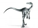 Meilleur Pour Realiste Raptor Dessin Dinosaure - Random Spirit pour Comment Dessiner Un Dinosaure