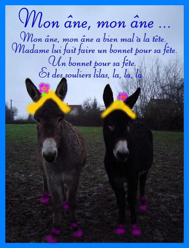 Mon Âne, Mon Âne destiné Mon Ane Comptine Mon Âne, Mon Âne destiné Mon Ane Comptine