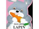 Mon Petit Lapin - Achat / Vente Livre Nathalie Boudineau encequiconcerne Contine Mon Petit Lapin