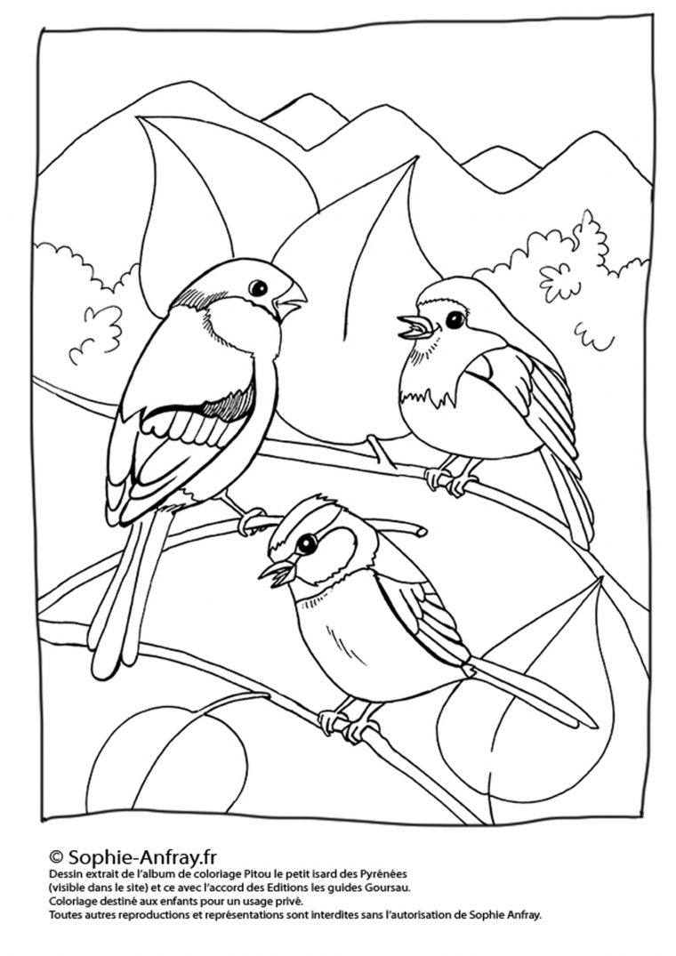 Monde Des Petits – Coloriages À Imprimer serapportantà Coloriage Les Legendaires A Imprimer