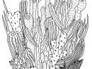 My Love Of Everything Cactus And/Or Succulent Is So, So serapportantà Coloriage Cactus A Imprimer