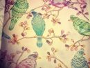 My Tropical Birds From #Wildsavannah #Milliemarotta # dedans Coloriage Oiseaux Tropicaux