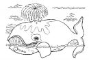 Nos Jeux De Coloriage Baleine À Imprimer Gratuit - Page 6 concernant Coloriage Baleine A Imprimer Gratuit