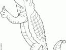 Nos Jeux De Coloriage Crocodile À Imprimer Gratuit - Page concernant Coloriage Crocodile A Imprimer Gratuit