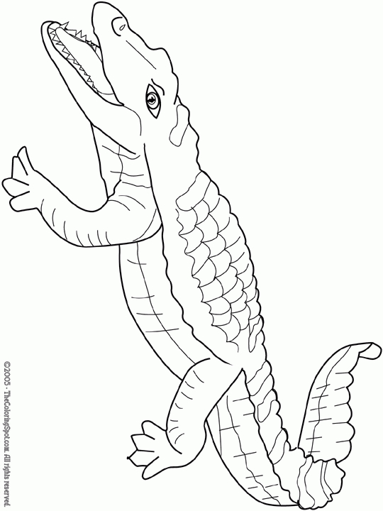 Nos Jeux De Coloriage Crocodile À Imprimer Gratuit - Page concernant Coloriage Crocodile A Imprimer Gratuit