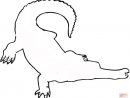 Nos Jeux De Coloriage Crocodile À Imprimer Gratuit - Page pour Coloriage Crocodile A Imprimer Gratuit