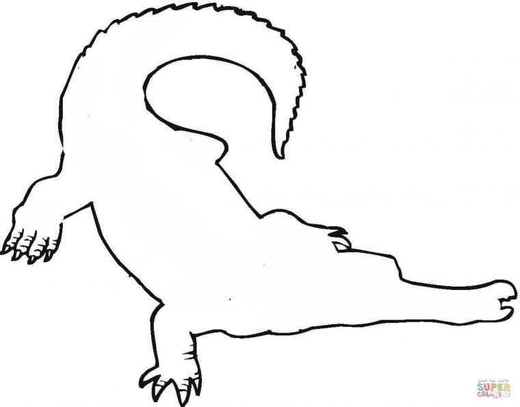 Nos Jeux De Coloriage Crocodile À Imprimer Gratuit – Page pour Coloriage Crocodile A Imprimer Gratuit