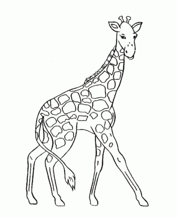 Nos Jeux De Coloriage Girafe À Imprimer Gratuit – Page 2 Of 4 tout Dessin Girafe Simple