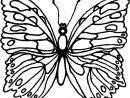 Nos Jeux De Coloriage Papillon À Imprimer Gratuit - Page 7 pour Coloriage De Papillon A Imprimer Gratuit