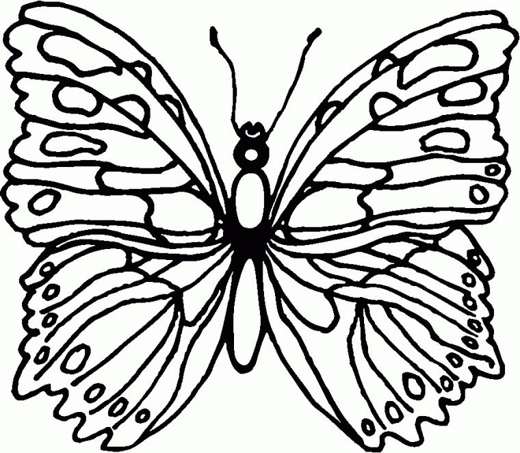 Nos Jeux De Coloriage Papillon À Imprimer Gratuit – Page 7 pour Coloriage De Papillon A Imprimer Gratuit