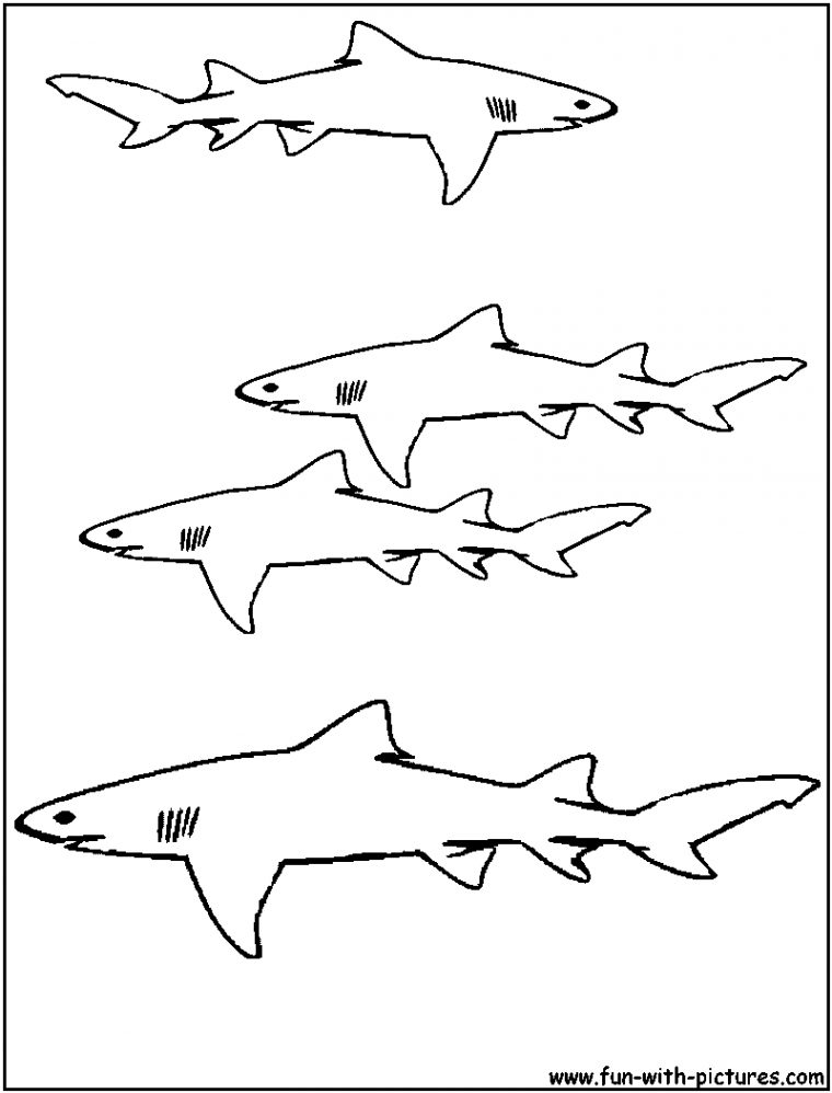 Nos Jeux De Coloriage Requin À Imprimer Gratuit – Page 2 Of 3 tout Coloriage Requin