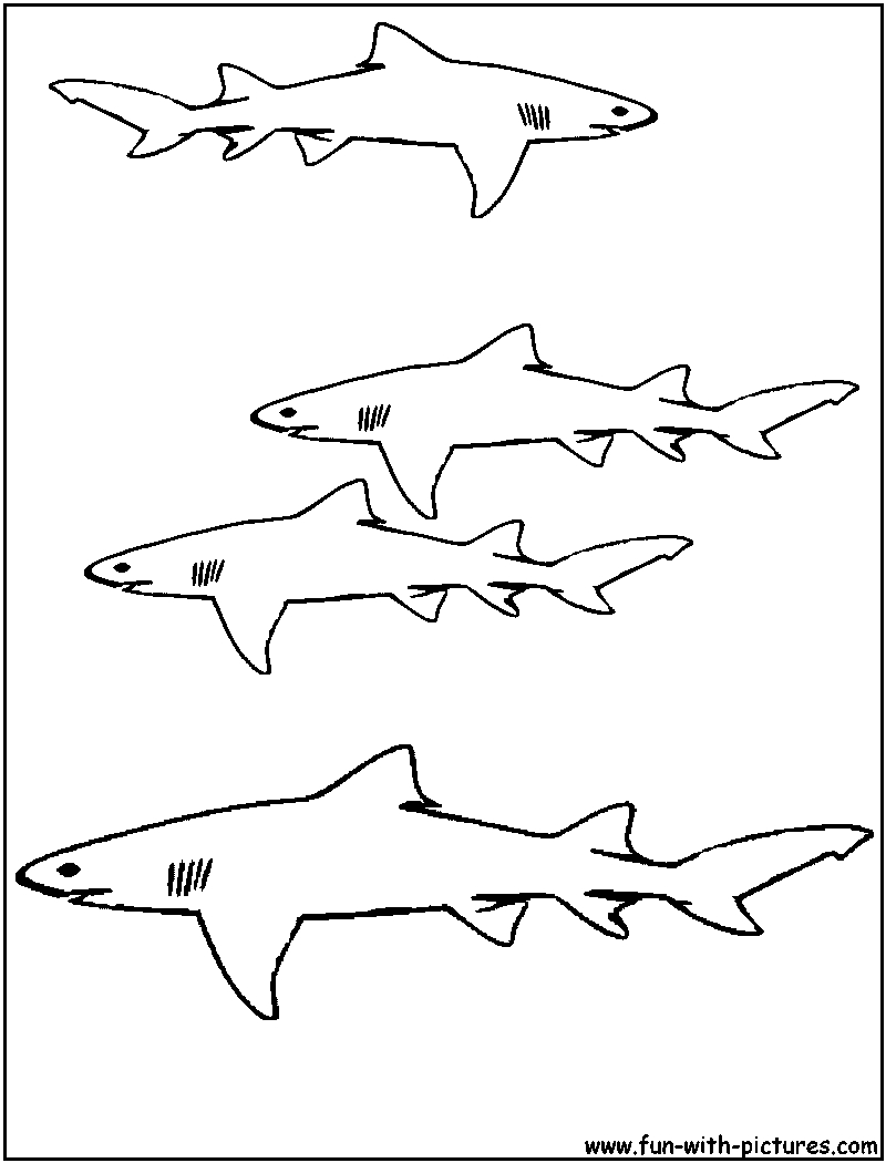 Nos Jeux De Coloriage Requin À Imprimer Gratuit - Page 2 Of 3 tout Coloriage Requin