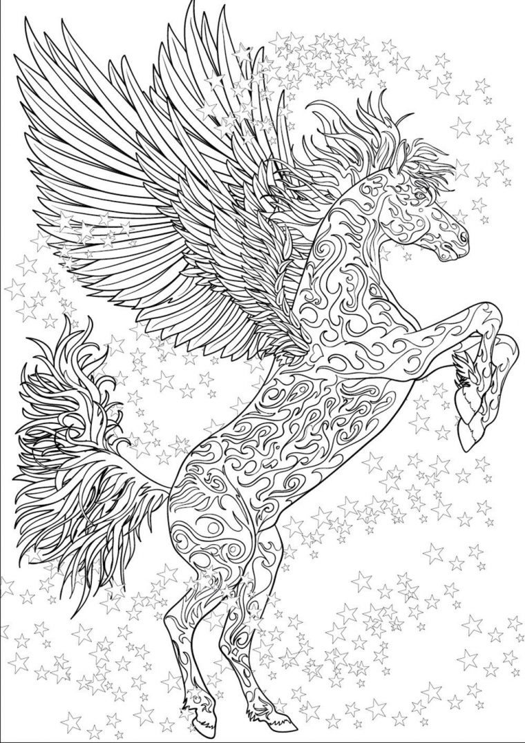 Nouveau Bestiaire Extraordinaire : 100 Coloriages Anti intérieur Coloriage Amazon