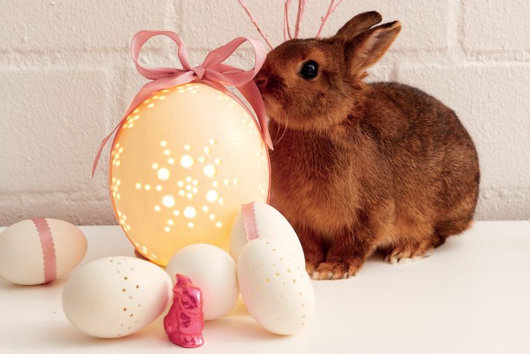 Œuf De Pâques Ajouré Fait Maison Pour Les Fêtes De Pâques pour Origine Lapin De Pâques