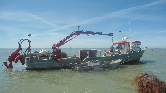 Onvasortir! La-Rochelle – Le Site – Accueil – 1 intérieur Ovs+La+Rochelle