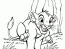 Pages À Colorier (With Images) | Cartoon Coloring Pages pour Coloriage Roi Lion À Imprimer