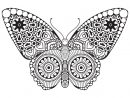 Papillon Butterfly Dessin A Colorier Artherapie avec Dessins Acolorier