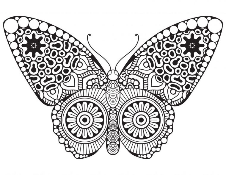 Papillon Butterfly Dessin A Colorier Artherapie avec Dessins Acolorier