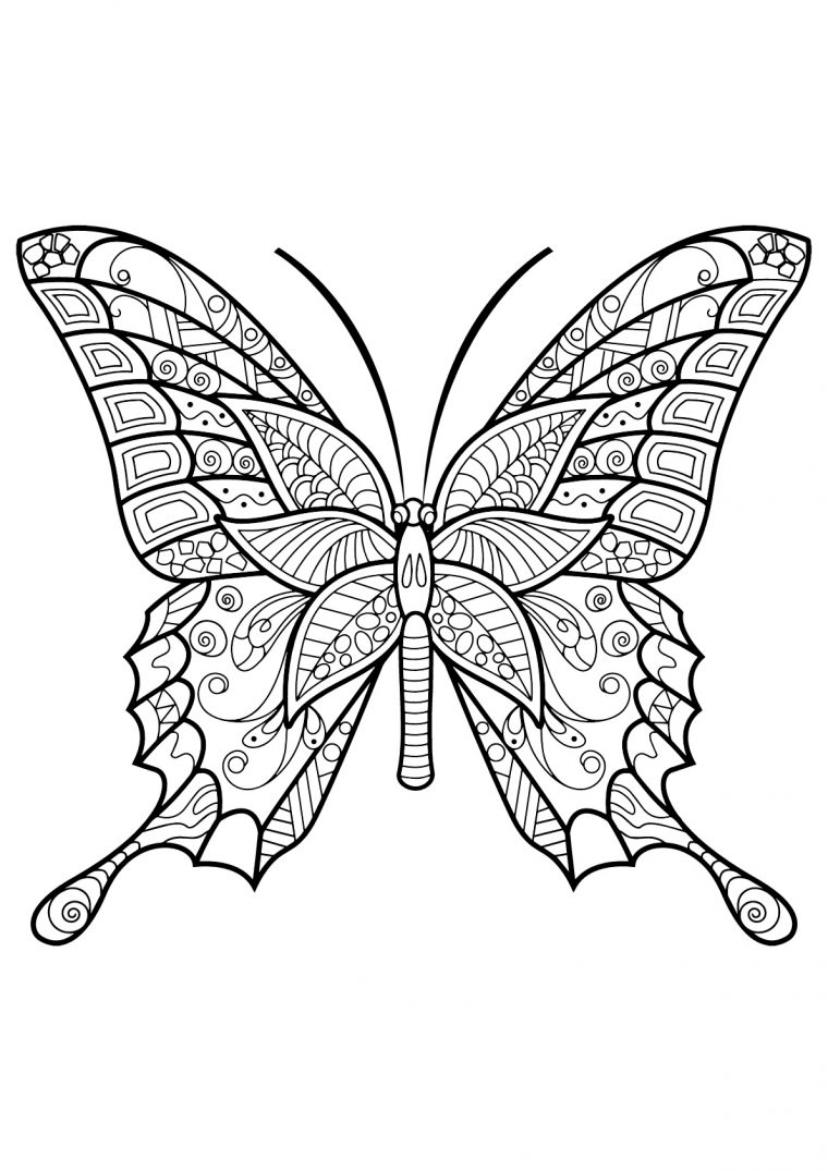 Papillon Jolis Motifs 6 – Papillons & Insectes concernant Coloriage Papillon