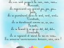 Paroles_La Semaine Des Canards | Chanson | Pinterest intérieur Comptine Parole Laine Des Moutons