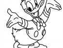 Pato Donald Para Colorir E Imprimir - Muito Fácil dedans Coloriage Donald Duck