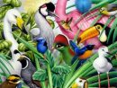 Peintures Howard Robinson | Art À Thème Oiseau, Peinture intérieur Coloriage Oiseaux Tropicaux