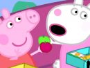 Peppa Pig En Español Episodios Completos 🚌 La Excursión concernant Peppa Pig À La Piscine