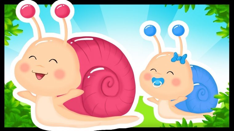 Petit Escargot – Comptine Pour Bébé – Titounis – dedans Contines Enfant