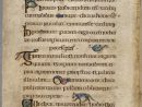 Pin By Dawn Mcilvain Stahl Editorial Services On Book intérieur Script In The Book Of Kells Book