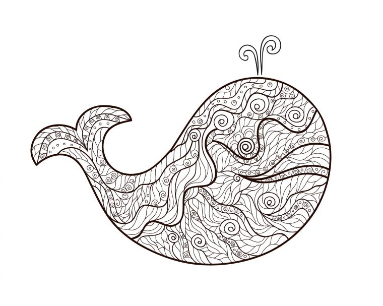 Pour Zentangle Baleine – Coloriage Adulte – Coloriages à Coloriage Baleine A Imprimer Gratuit