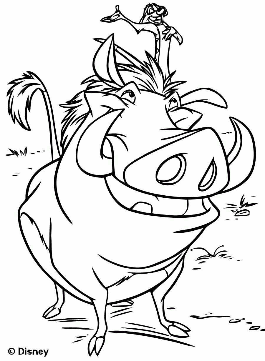 Pumbaa Et Timon - Coloriage Le Roi Lion - Coloriages Pour dedans Lion Dessin Enfant