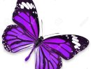 Purple Butterfly - Jattdisite concernant Dessin De Papillon En Couleur