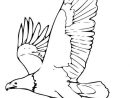 Résultat De Recherche D'Images Pour &quot;Aigle Royal Dessin encequiconcerne Coloriage Aigle A Imprimer Gratuit