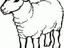 Sélection De Coloriage Mouton À Imprimer Sur Laguerche serapportantà Coloriage Mouton À Imprimer