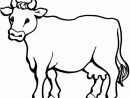 Sélection De Coloriage Taureau À Imprimer Sur Laguerche pour Coloriage D Animaux De Vache