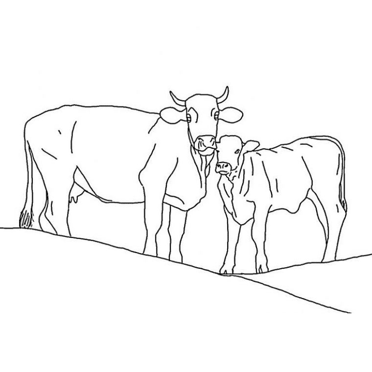 Sélection De Coloriage Vache À Imprimer Sur Laguerche avec Coloriage D Animaux De Vache