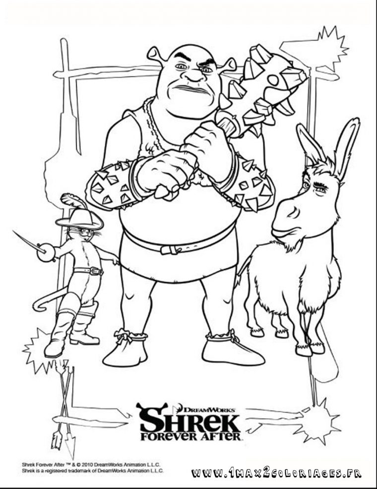 Shrek Shrek Et Re-Shrek Les Coloriages encequiconcerne Coloriage Shrek Et Fiona