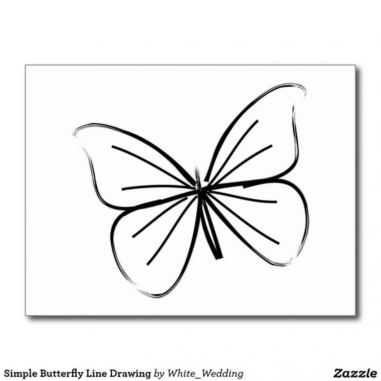 Simple Butterfly Line Drawing Postcard | Zazzle avec Papillon Dessin Facile