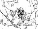 Spiderman Malvorlagen | 123 Ausmalbilder à Coloriage Spiderman