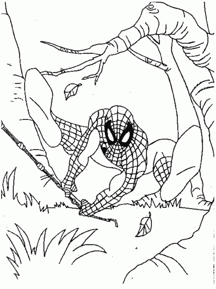 Spiderman Malvorlagen | 123 Ausmalbilder à Coloriage Spiderman