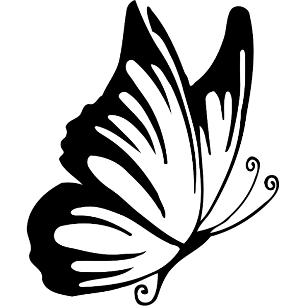 Sticker Papillon Profil encequiconcerne Dessin De Papillon En Couleur