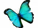 Stock Photo | Butterfly, Color, Turquoise Color destiné Dessin De Papillon En Couleur