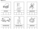 Syllabes - Phonologie – Maternelle – Grande Section – Gs à Exercices Coloriage Grande Section Imprimer