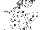 Tekening Ladybug | Kleurplaten Van Dieren concernant Coloriage Lady Bug