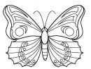 Télécharger Et Imprimer Ces Coloriages De Papillon à Coloriage Papillon