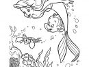 The Little Mermaid Free To Color For Children - The Little intérieur Coloriage Dysney