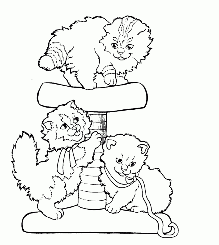 Three Cats Playing – Animal Coloring Pages For Kids To serapportantà Coloriage Chaton A Imprimer