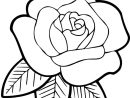 Tige D'Une Rose Épineuse Coloriage - Recherche Google à Coloriage D Une Rose