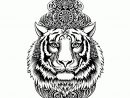 Tigre Indien - Amelie Claire Illustration Traditionnelle pour Mandalas De Tigres